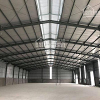 Chính Chủ Cho Thuê Nhanh Kho Tại Kcn Nomura - Hải Phòng Dt 500m2