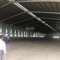 Cho Thuê Kho Xưởng Dt 20000m2 Tại Bình Chánh Tp Hồ Chí Minh, Cách Nhà Thờ đức Bà 20km