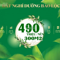 đất Biệt Thự Nghĩ Dưỡng Bảo Lộc 300m2/490tr  Lh 0908195662