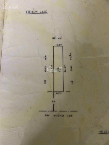 100m2 Mặt đường 208, An đồng, An Dương Giá 26,5tr/m2 4