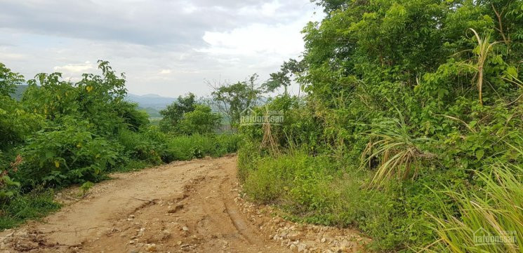 150 Hecta 7 Tỷ đất Sinh Thái Rừng Tự Nhiên Có Thác, Có đường, Có Suối, Cách Tỉnh Lộ 3km 8
