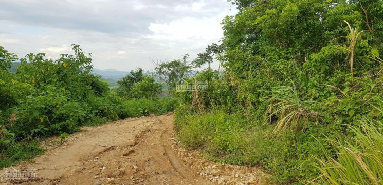 150 Hecta 7 Tỷ đất Sinh Thái Rừng Tự Nhiên, Có Thác, Có đường, Có Suối, Cách Tỉnh Lộ 3km 7