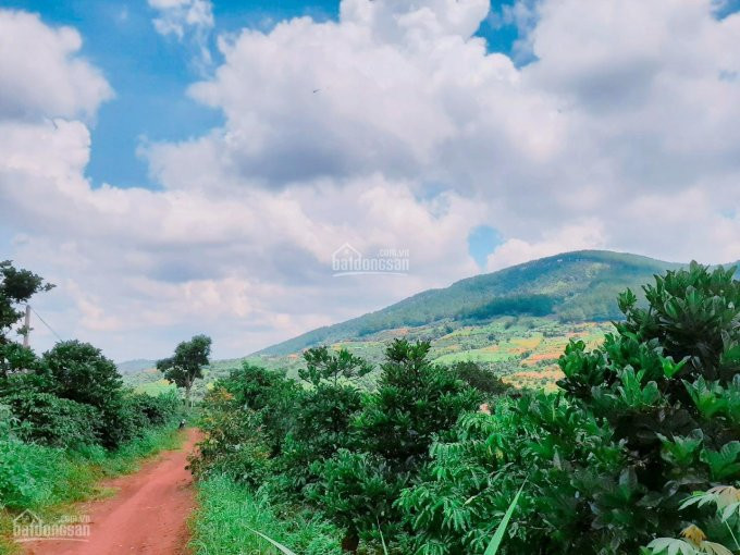 1600m2 đất View Hồ đông Thanh, Lâm đồng, Sổ Sẵn Sang Tên Ngay, 2 Mt đường, Gần Hồ Tuyền Lâm 1