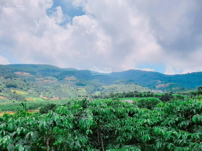 1600m2 đất View Hồ đông Thanh, Lâm đồng, Sổ Sẵn Sang Tên Ngay, 2 Mt đường, Gần Hồ Tuyền Lâm 2