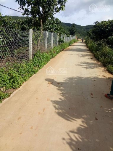 3000m2 đất Mê Linh, Có 30m Mt Bê Tông, Thổ Cư Bám đường, 650 Tr/sào Cách Cà Phê Mê Linh 2,5 Km 1