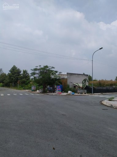 43tỷ/8x19m, Khu Dân Cư đại Học Mở, Tam đa, 152m2, đường Thông, Bên Quán Cà Phê Và Căn Biệt Thự 4
