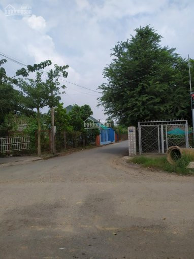 43tỷ/8x19m, Khu Dân Cư đại Học Mở, Tam đa, 152m2, đường Thông, Bên Quán Cà Phê Và Căn Biệt Thự 6