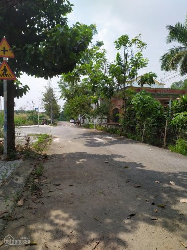 43tỷ/8x19m, Khu Dân Cư đại Học Mở, Tam đa, 152m2, đường Thông, Bên Quán Cà Phê Và Căn Biệt Thự 8