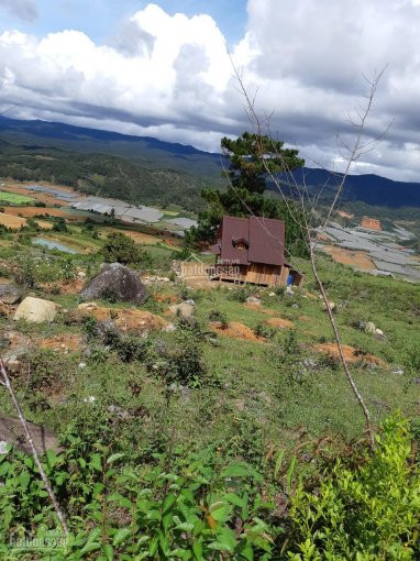 5000m2 đất Làm Homestay Cách đà Lạt 13km Chỉ 1,8 Tỷ 2