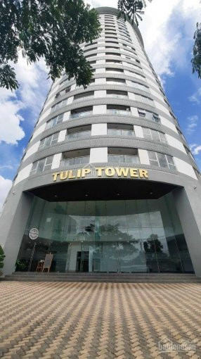 Bán Căn Hộ Tulip Tower Quận 7, 75m2, 2pn, Giá 184 Tỷ, Lh: 0908994392 Quang Vinh 3