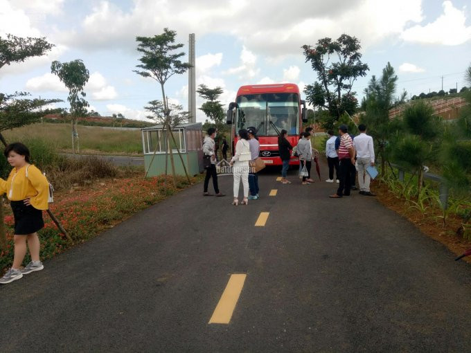 Bán đất Gần Bảo Lộc Chính Chủ, Giá Rẽ Sổ Hồng Công Chứng Ngay 5