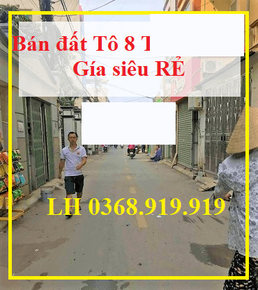 Bán đất Thạch Bàn Tổ 8 Dt 66m2 Cực đẹp Giá 35 Triệu Lh 0368919919 1