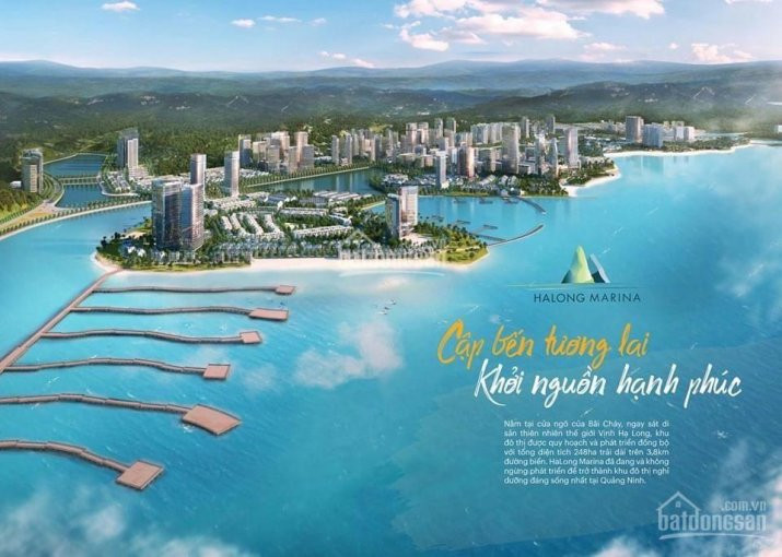 Bán Không Chênh 6 Căn Harbor Bay Giá Chủ đầu Tư Lh 0989019000 1