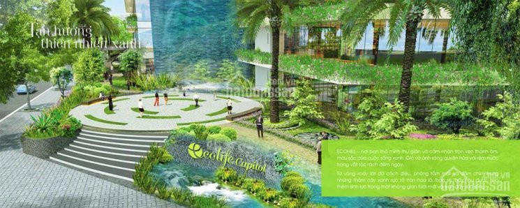 Bql Chung Cư Ecolife Lê Văn Lương, Cho Thuê Các Căn Hộ Từ 1-3pn Giá Từ 75 Tr/th Lh: 0989 848 332 3