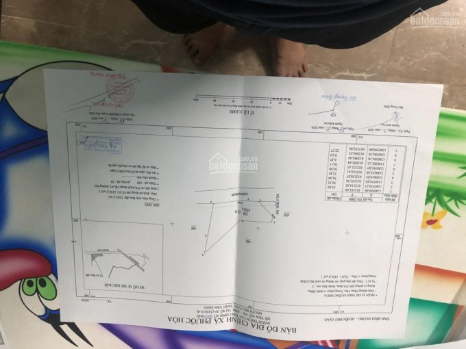 Cần Bán 1,9 Hecta đất Skc Tại Phước Hòa, Phú Giáo,bình Dương 3