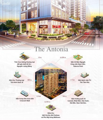 Căn Hộ Cao Cấp The Antonia Phú Mỹ Hưng Tt 20% Nhận Nhà Hỗ Trợ Vay Nh Lãi Suất 0% Mua Trực Tiếp Cđt 8