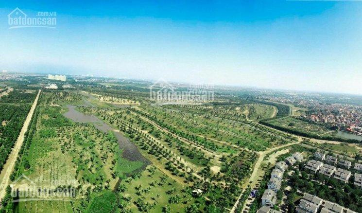 Chính Chủ Bán Cắt Lỗ Căn 65m, 2 Phòng Ngủ, Chung Cư Westbay, Ecopark Giá Rẻ Nhất Lh 0973097187 1