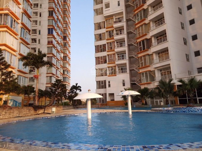 Chính Chủ Bán Ch Tera Rosa (khang Nam), Dt: 183m2, 5pn, 4wc, Tầng Cao, View đẹp Nhìn Về Phú Mỹ Hưng 6