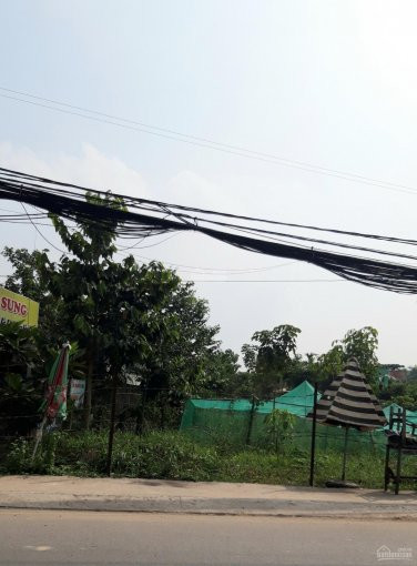 Chính Chủ Bán Lô đất Mt Phạm Văn Diêu, Tân Hạnh, Biên Hòa, đồng Nai, 117m2(6x195m), 2,132 Tỷ Có Tl 2