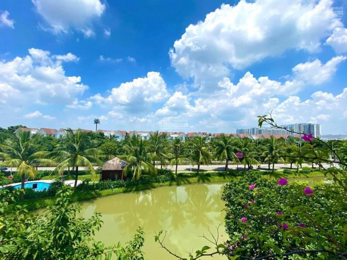 Chính Chủ Bán Nhanh Biệt Thự Hoa Sữa 4, 279m2, 229 Tỷ, Hoàn Thiện Hiện đại, View Sông, đường Hoa Hồng, Gần Almaz 1