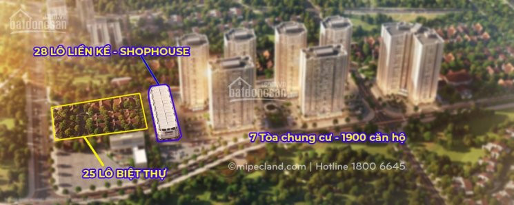 Chính Chủ Bán Nhanh Căn Biệt Thự Hàng Ngoại Giao Giá 45tr/m2 Tại Dự án Mipec City View Tiện Kinh Doanh/ Cho Thuê 1