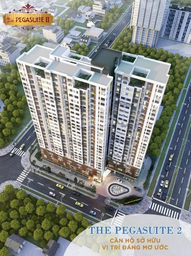 Chính Chủ Bán Nhanh Căn Góc 62m2 View Q1 Dự án Pegasuite2-mt Tạ Quang Bửu Giá 2,26 Tỷ đã Vat Và Sang Tên Tt 25% 3