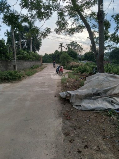 Chính Chủ Bán Nhanh đất Cư Yên, Lương Sơn, Hòa Bình, Cách Hn 42km, đường Sá Thuận Tiện 5