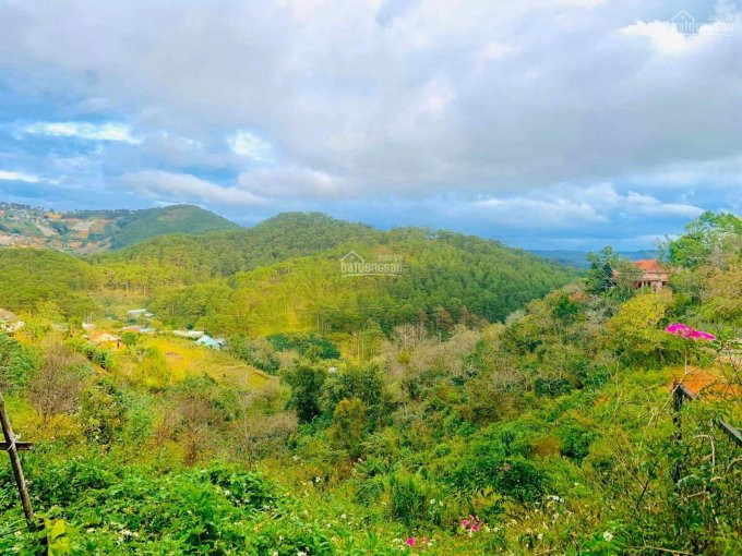 Chính Chủ Bán Nhanh đất đường Hoàng Hoa Thám Giá Tốt Nhất Thị Trường Hiện Nay, Phường 10, Thành Phố đà Lạt 2