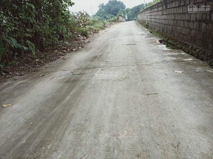 Chính Chủ Bán Nhanh đất Lương Sơn, Hòa Bình, đường To ô Tô Vào Tận đất, Bám Mặt đường 20m 4