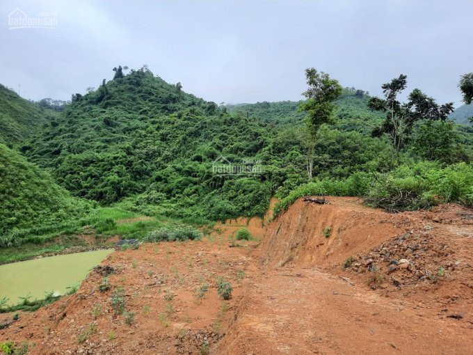 Chính Chủ Bán Nhanh đất Lương Sơn, Hòa Bình, Gần Nhiều Dự án Nghỉ Dưỡng, Khu Sinh Thái 3