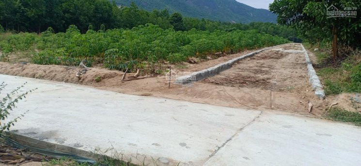 Chính Chủ Bán Nhanh đất Suối Tiên, Diện Tích 1870m2 Và 4500m2, Giá Rẻ Mua Lô Nào Bán Lô đó 2