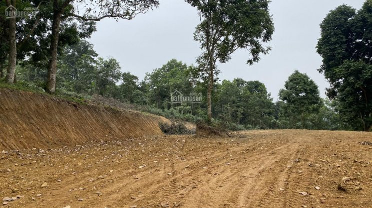 Chính Chủ Bán Nhanh đất Tân Vinh, Lương Sơn, Hòa Bình, Sẵn Nhiều Cây ăn Quả, Phù Hợp Làm Nghỉ Dưỡng 4