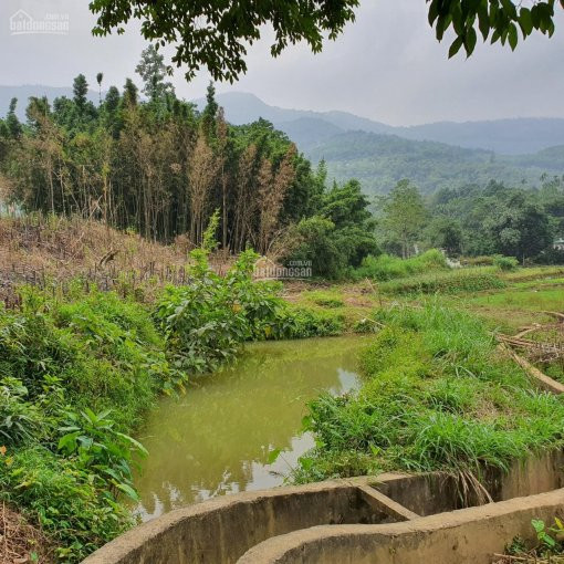 Chính Chủ Bán Nhanh đất Xã Phú Mãn, Quốc Oai, Hà Nội, Diện Tích Rộng 6400 M2 1