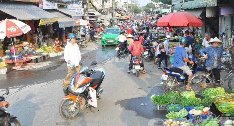 Chính Chủ Bán Nhanh Gấp 2 Dãy Trọ đôi Mặt Tiền Khu Công Nghiệp Nhật - Bản Mỹ Phước 3, Bình Dương 3