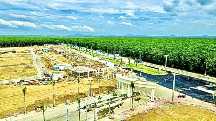 Chính Chủ Bán Nhanh Gấp Lô đất 100m2 Tc 100% + Căn Nhà Phố Dtxd 275 + Căn Shophouse Dtxd 375  Bình Sơn,long Thành 5