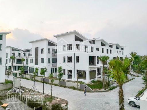 Chính Chủ Bán Nhanh Lại Shophouse Khai Sơn City, Lô Ks35, Mặt Tiền 62m, Diện Tích 992m2, Giá 126 Tỷ Bao Tên 2