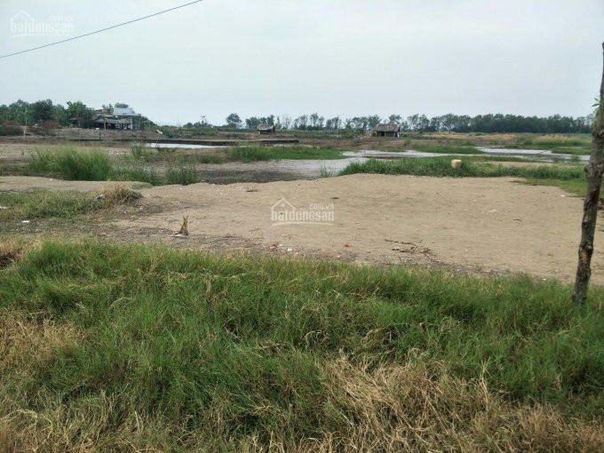 Chính Chủ Bán Nhanh Lô đất Nuôi Thuỷ Sản Giá Rẻ Giá Cho Nhà đầu Tư 2