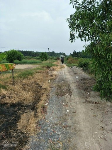 Chính Chủ Bán Nhanh Lô đất Nuôi Thuỷ Sản Giá Rẻ Giá Cho Nhà đầu Tư 4
