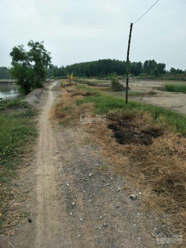 Chính Chủ Bán Nhanh Lô đất Nuôi Thuỷ Sản Giá Rẻ Giá Cho Nhà đầu Tư 5