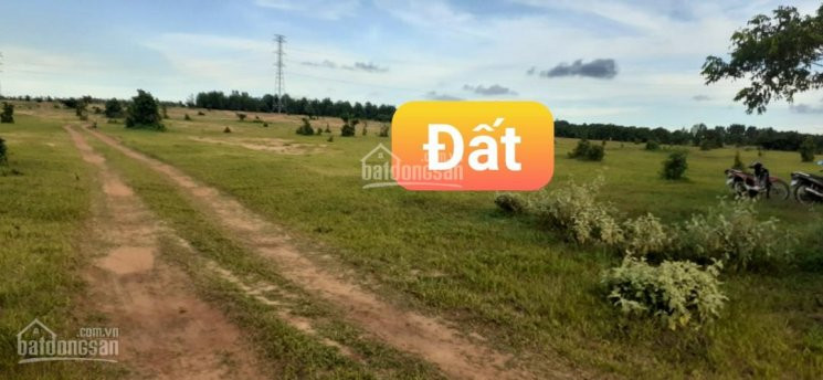 Chính Chủ Bán Nhanh Nhanh Lô đất Hòa Thắng, Ngày Dt716 Vào 1,5km, Shr 10000m2, Có đường Oto Vào Tận Nơi 1