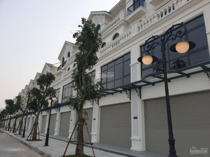 Chính Chủ Bán Nhanh Shophouse Biệt Thự Sở Hữu Vĩnh Viễn Tiềm Năng Kinh Doanh Lớn Vinhomes Ocean Park Gia Lâm 85 Tỷ 6