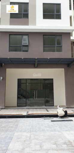 Chính Chủ Bán Nhanh Shophouse Green River Quận 8, 1 Trệt 1 Lầu, Tiện ở Và Kinh Doanh, Sở Hữu Vĩnh Viễn - 0911386600 4