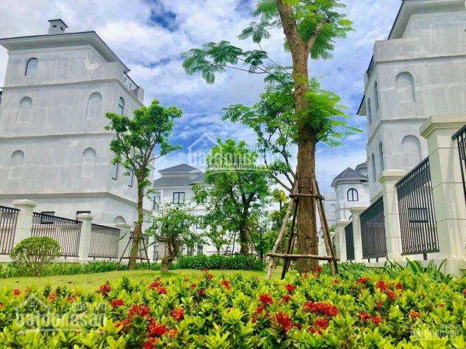 Chính Chủ Bán Nhanh Siêu Biệt Thự Vinhomes Green Villas Tây Mỗ Các Căn Cuối Giá Tốt, Chính Sách ưu đãi Trong Tháng 3