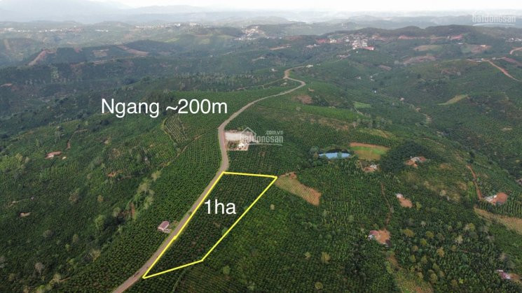 Chính Chủ Cần Bán 10000m2 Có ~200m Mặt Tiền đường Nhựa, View đẹp Nhất Cung đường Tân Thượng - Liên đầm 2