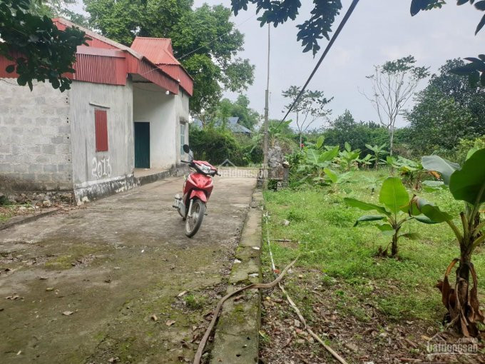 Chính Chủ Cần Bán Gấp đất Trung Tâm Thị Trấn Ba Hàng đồi 1