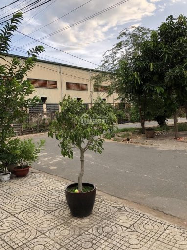 Chính Chủ Cần Bán Gấp Nhà Phố Quận 8 Khu Dân Cư Cần Giờ 2