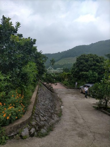 Chính Chủ Cần Bán Lô đất 20000m2(2ha) đã Có Khuôn Viên Nhà Vườn Hoàn Thiện Giá Rẻ Tại Tân Thành Lương Sơn, Hb 4