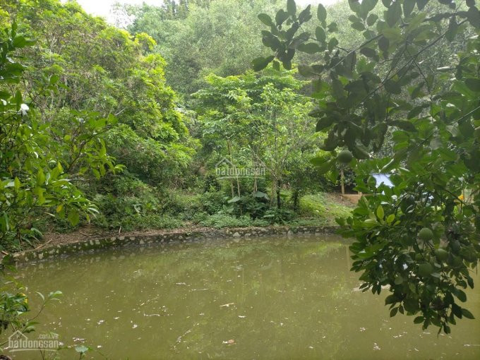 Chính Chủ Cần Bán Lô đất 20000m2(2ha) đã Có Khuôn Viên Nhà Vườn Hoàn Thiện Giá Rẻ Tại Tân Thành Lương Sơn, Hb 8
