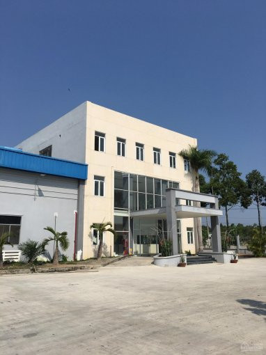 Chính Chủ Cần Cho Thuê Dài Hạn 25000m2 Kho, Nhà Xưởng Mới Xây Chưa Qua Sử Dụng Trong Kcn Nam Tân Uyên 1