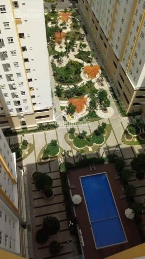 Chính Chủ Cho Thuê Nhanh Căn Hộ Sunview Town, Thủ đức, 58m2, 2pn, View Hồ Bơi, Nhà Mới, Sạch đẹp 1